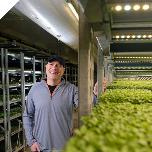 MO - Landing Page - Graphics